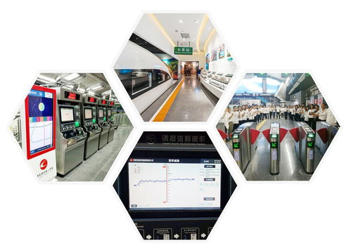 光華綻放 一位清華博士返鄉(xiāng)創(chuàng)業(yè)，以網(wǎng)絡(luò)技術(shù)賦能萬(wàn)物互聯(lián)